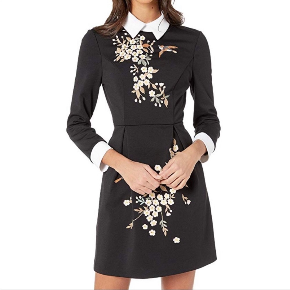 Ted baker embroidered dress